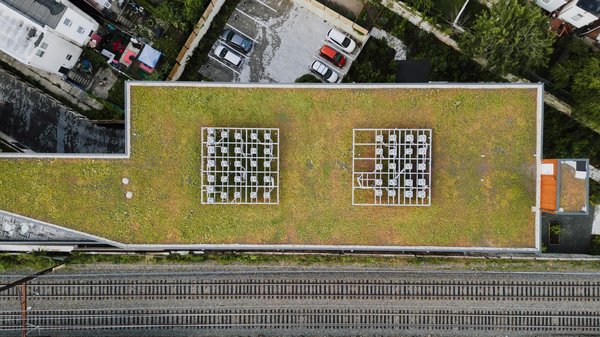 Toitures végétalisées : un bénéfice pour votre bâtiment et la planète